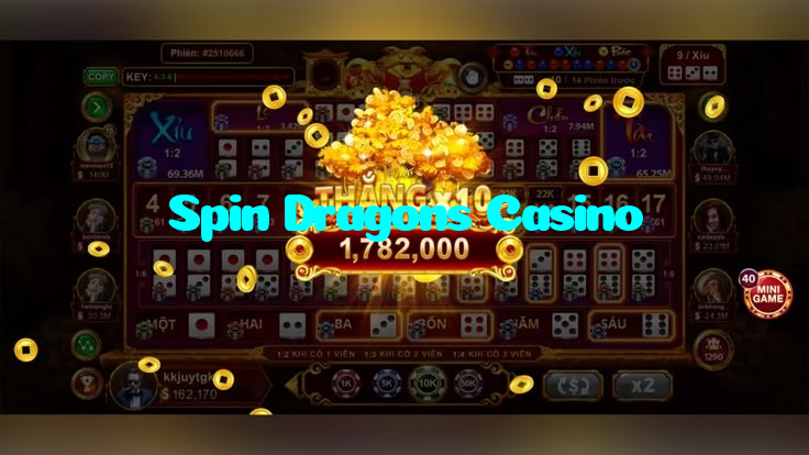 available types of Spin Dragons Casino bet including pre-match live express and system bets